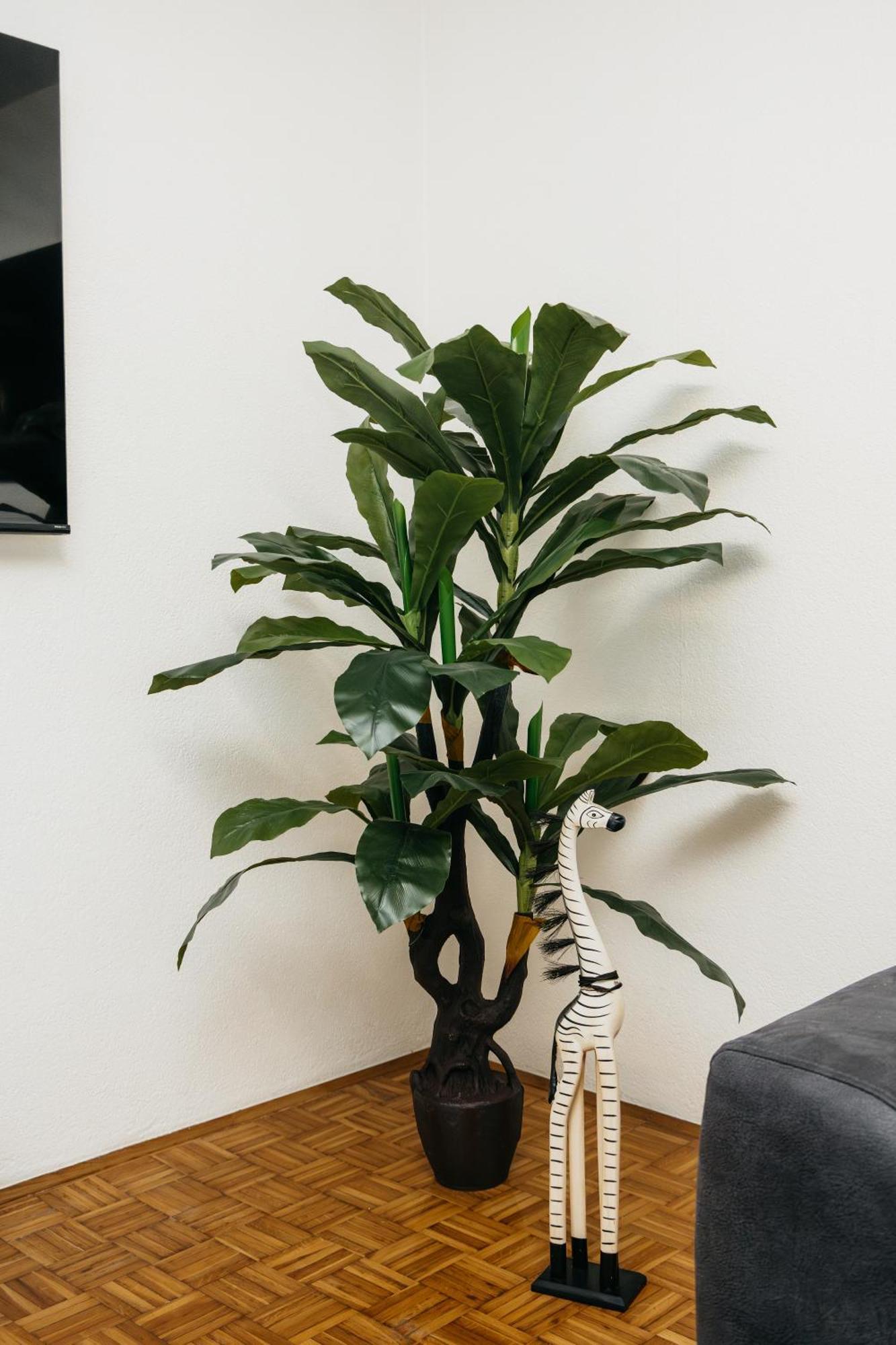Apartment Dolcevita *